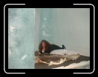 0212_0301 Sverige 175 * 800 x 600 * (36KB)